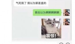 娱乐吃瓜酱异地,揭秘异地明星们的甜蜜生活